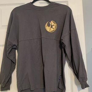 Disney Spirit Jersey